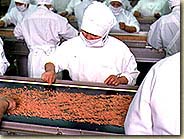 鮭フレーク